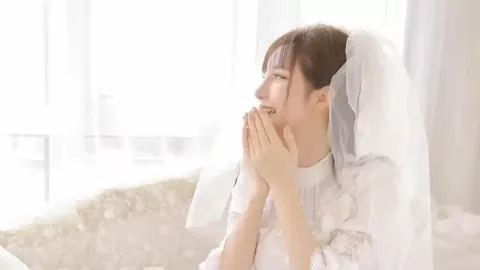 赤峰白菜采捡事件调查