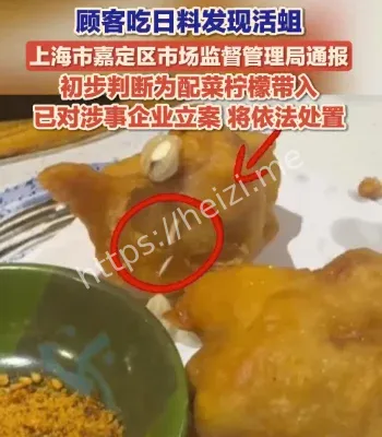 网友称在上海一日料店里吃出活蛆