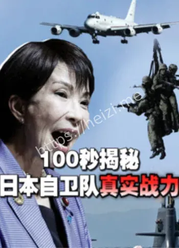 日本自卫队2025真实战力